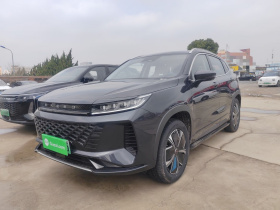 星途追风C-DM 2024款 C-DM 1.5TCI 105KM奢享版