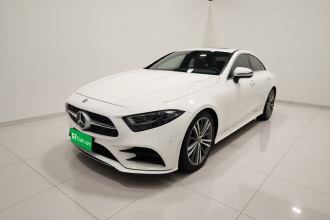 奔驰CLS 2020款 CLS 300 动感型