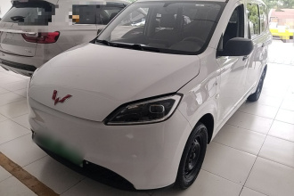 五菱汽车 五菱宏光新能源 2024款 纯电版 300KM 实用型