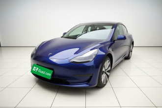 特斯拉 Model 3 2021款 标准续航后驱升级版