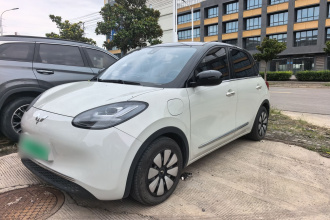 五菱汽车 五菱缤果 2023款 333km 灵犀互联款