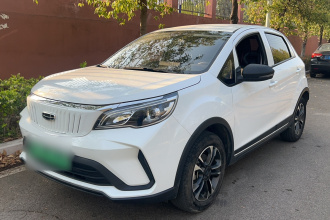 吉利几何 EX3 功夫牛 2021款 坚强牛牛