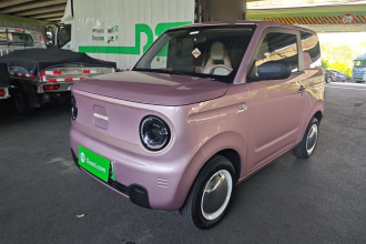 吉利银河 2024款 熊猫mini 200km 耐力熊