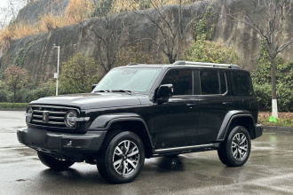 坦克300 2021款 城市版 2.0T 很有型