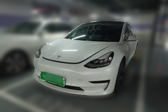 特斯拉 Model 3 2019款 标准续航后驱升级版
