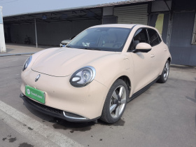 欧拉好猫 2021款 400km标准续航 雅典娜版 磷酸铁锂