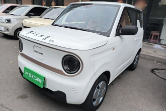 吉利银河 2024款 熊猫mini 200km 耐力熊