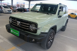 坦克300 2021款 城市版 2.0T 很有型