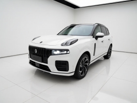 领克09 EM-P 2021款 2.0T PHEV Halo 七座