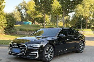 奥迪A6L 2023款 改款 40 TFSI 豪华动感型