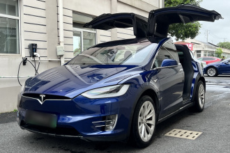 特斯拉 Model X 2019款 长续航版