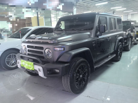 212 T01 2024款 2.0T 探险家