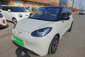 五菱汽车 五菱缤果 2023款 333km 悦享+款