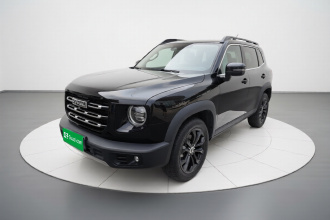 哈弗大狗 2021款 1.5T DCT两驱边牧版