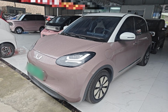 五菱汽车 五菱缤果 2023款 333km 悦享款