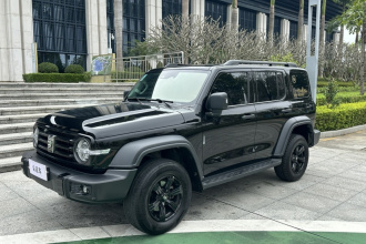 坦克300 2021款 越野版 2.0T 征服者