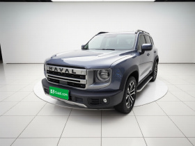 哈弗大狗 2024款 1.5T DCT边牧版