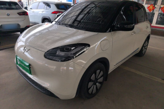 五菱汽车 五菱缤果 2023款 333km 悦享+款