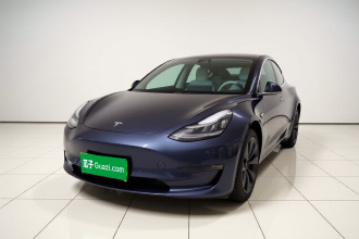 特斯拉 Model 3 2020款 改款 长续航后轮驱动版