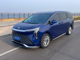 别克 世纪 2023款 2.0T 六座蕴世版