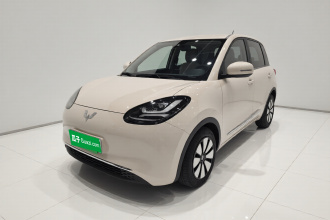 五菱汽车 五菱缤果 2023款 203km 舒享款