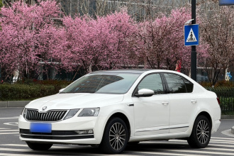 斯柯达 明锐 2018款 TSI230 DSG豪华版