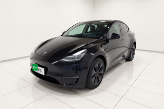 特斯拉 Model Y 2024款 长续航全轮驱动版