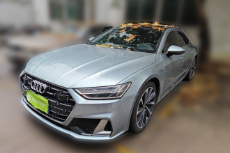 奥迪A7L 2022款 45 TFSI quattro S-line 圣骑士