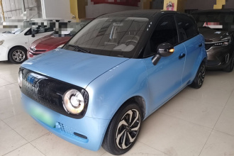 欧拉黑猫 2021款 301km 基础型