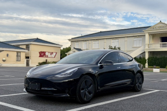 特斯拉 Model 3 2020款 标准续航后驱升级版