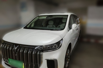 岚图汽车 岚图梦想家 2022款 低碳版 梦+智享包