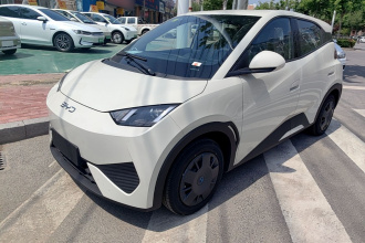 比亚迪 海鸥 2025款 智驾版 305km 活力版