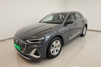 奥迪e-tron 2021款 50 quattro 豪华型