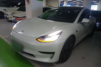 特斯拉 Model 3(进口) 2019款 标准续航后驱升级版