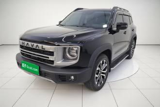 哈弗大狗 2024款 1.5T DCT边牧版