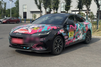比亚迪 海豹06新能源 2024款 DM-i 120KM尊享型