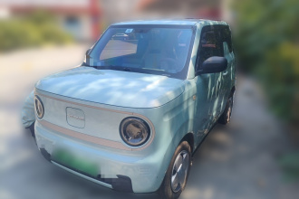 吉利银河 2023款 熊猫mini 200km 耐力熊