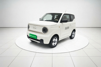 吉利银河 2023款 熊猫mini 200km 耐力熊