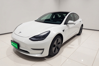 特斯拉 Model 3 2021款 改款 标准续航后驱升级版 3D1