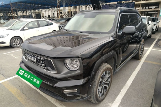 哈弗大狗 PLUS 2023款 2.0T 两驱潮野版