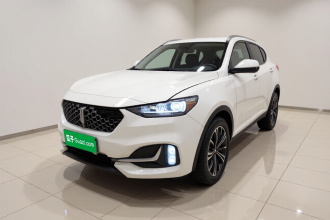 魏牌 VV6 2021款 2.0T 两驱智享+
