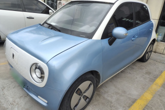 欧拉黑猫 2021款 301km 基础型