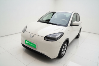 五菱汽车 五菱缤果 2023款 333km 悦享+款