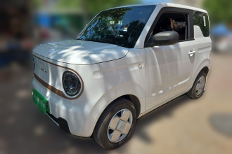 吉利银河 2024款 熊猫mini 200km 耐力熊