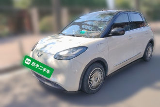 五菱汽车 五菱缤果 2023款 333km 灵犀互联+款
