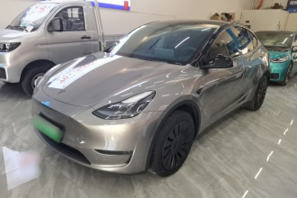 特斯拉 Model Y 2023款 长续航全轮驱动版