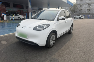 五菱汽车 五菱缤果 2024款 203km 轻享款