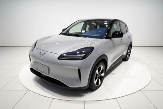 五菱汽车 五菱缤果PLUS 2024款 510km 五座版