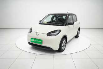 五菱汽车 五菱缤果 2023款 203km 舒享款