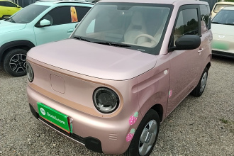 吉利银河 2024款 熊猫mini 200km 耐力熊